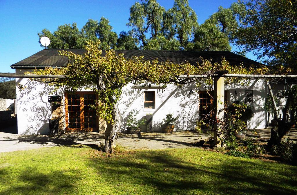 Hotel Witkrans Guest Farm Middelburg  Exterior foto